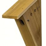 Peterson Bird Nest Box
