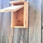 Open Up Front Opening Bird Nest Box